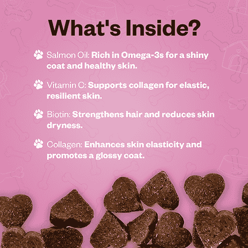 TailsAlive Skin & Coat Soft Chews Supplement for Dogs Dogs-Health & Wellness TailsAlive