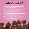 TailsAlive Skin & Coat Soft Chews Supplement for Dogs Dogs-Health & Wellness TailsAlive