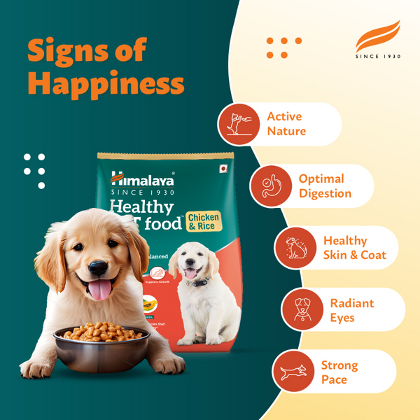 Himalaya Chicken & Rice Healthy Pet Puppy Dry Food