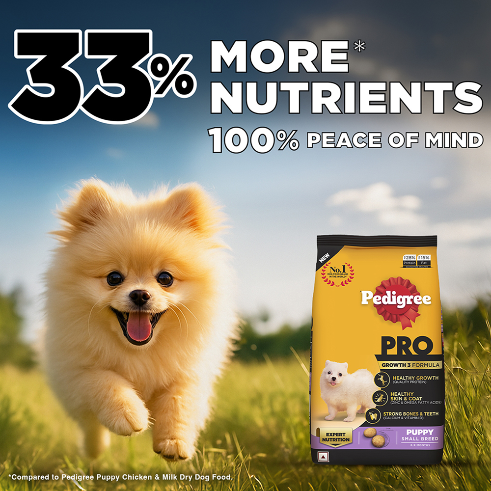 Pedigree PRO Expert Nutrition Small Breed Puppy (2 to 9 Months) Dry Food Dogs- Dry Food Pedigree PRO