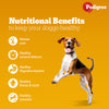 SKATRS Anti Skid Stainless Steel Bowl and Pedigree Chicken and Vegetables Adult Dry Dog Food Combo Dogs-Bowls & Feeders Exclusive Combo