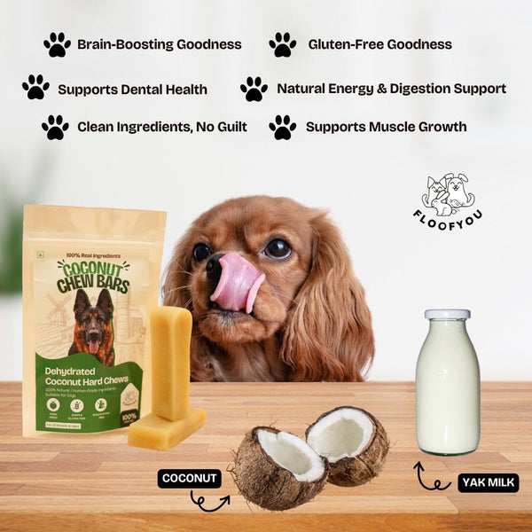 FloofYou Sun Dried Coconut Yak Churpi Chew Dogs & Cats Treat