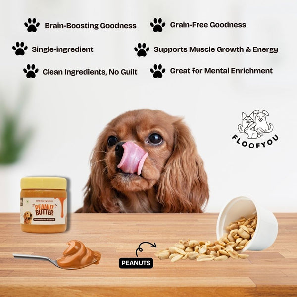 FloofYou Unsweetened & Natural Peanut Butter Dog Treats