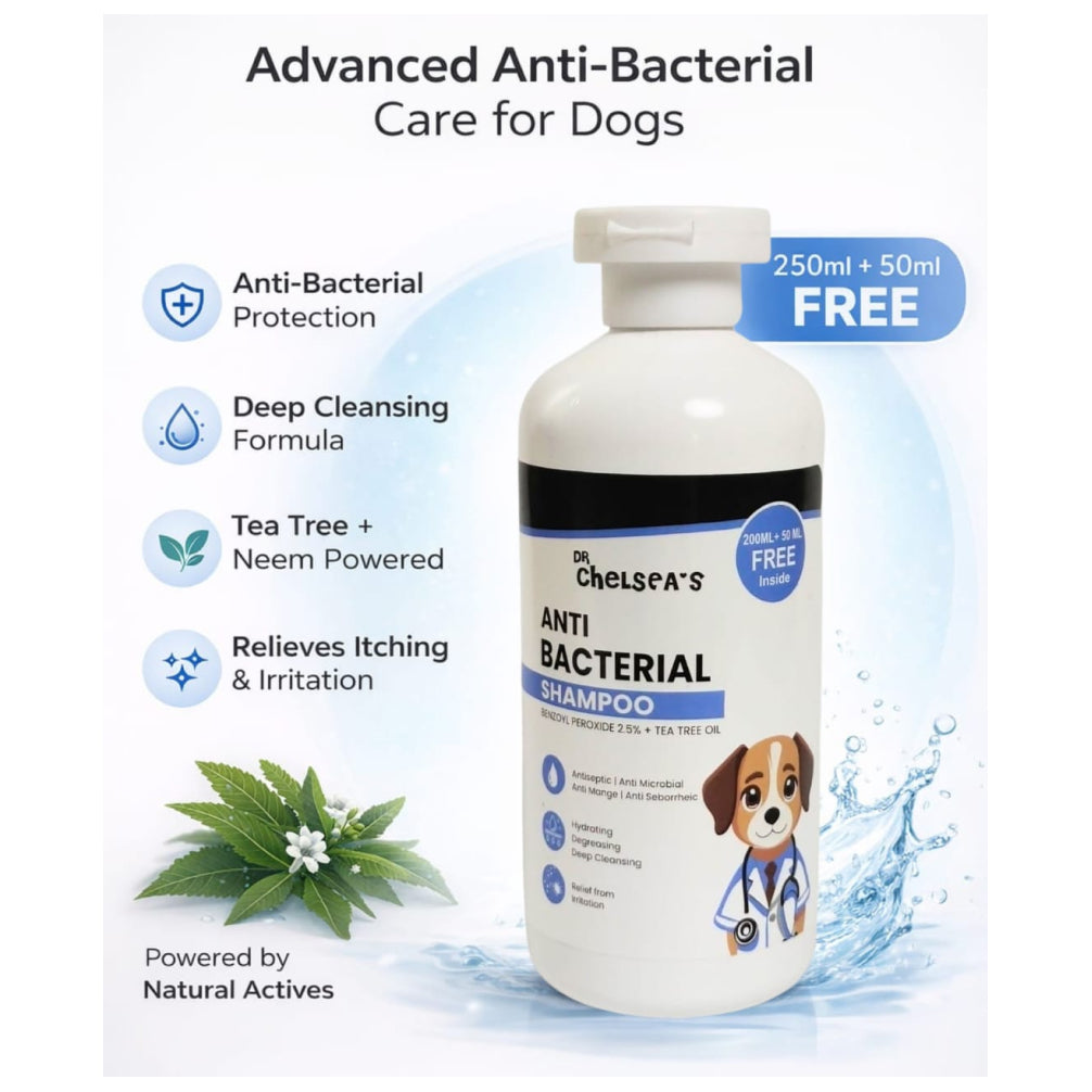 Dr. Chelsea’s Anti Bacterial Shampoo for Dogs & Cats Both-Grooming Supplies Dr. Chelsea's Dropship