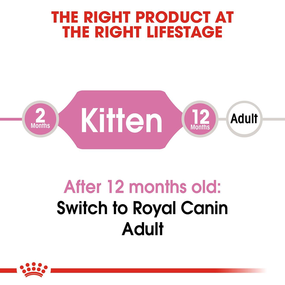 Healthy Kitten Nutrition Pack | Royal Canin Kitten Food with Sheba Wet Meals & Supplements Cats- Dry food Royal Canin