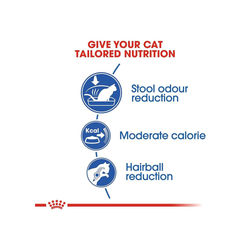 Royal Canin Indoor 27 Dry Cat Food Cats- Dry food Royal Canin