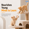 Drools Real Chicken Kitten Dry Food Cats- Dry food Drools