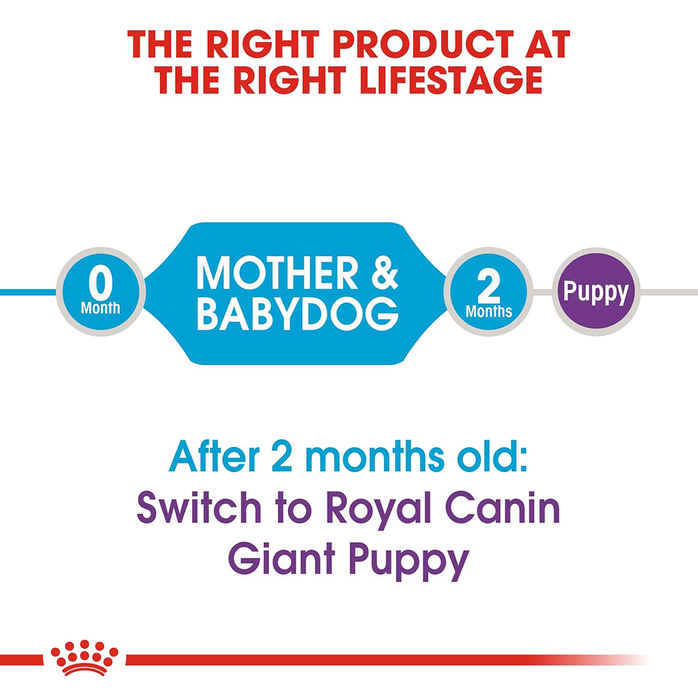 Royal Canin Royal Canin Giant Starter, Mother & Babydog Dog Dry Food Dogs- Dry Food Royal Canin