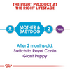 Royal Canin Giant Breed Dog and Puppies Starter Dog Dry Food Dogs- Dry Food Royal Canin
