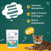 Goofy Tails Freeze Dried Shrimp Cat Treats Cats-Treats & Others Goofy Tails