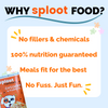 Sploot Chicken and Pumpkin Flavour Real Chicken Chunk in Gravy Dog Wet Food Dogs-Wet Food Sploot Dropship