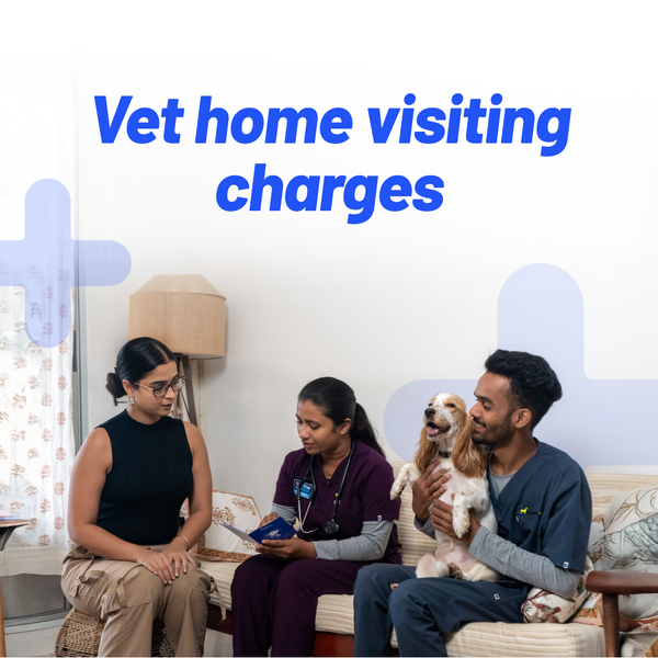 Vet&