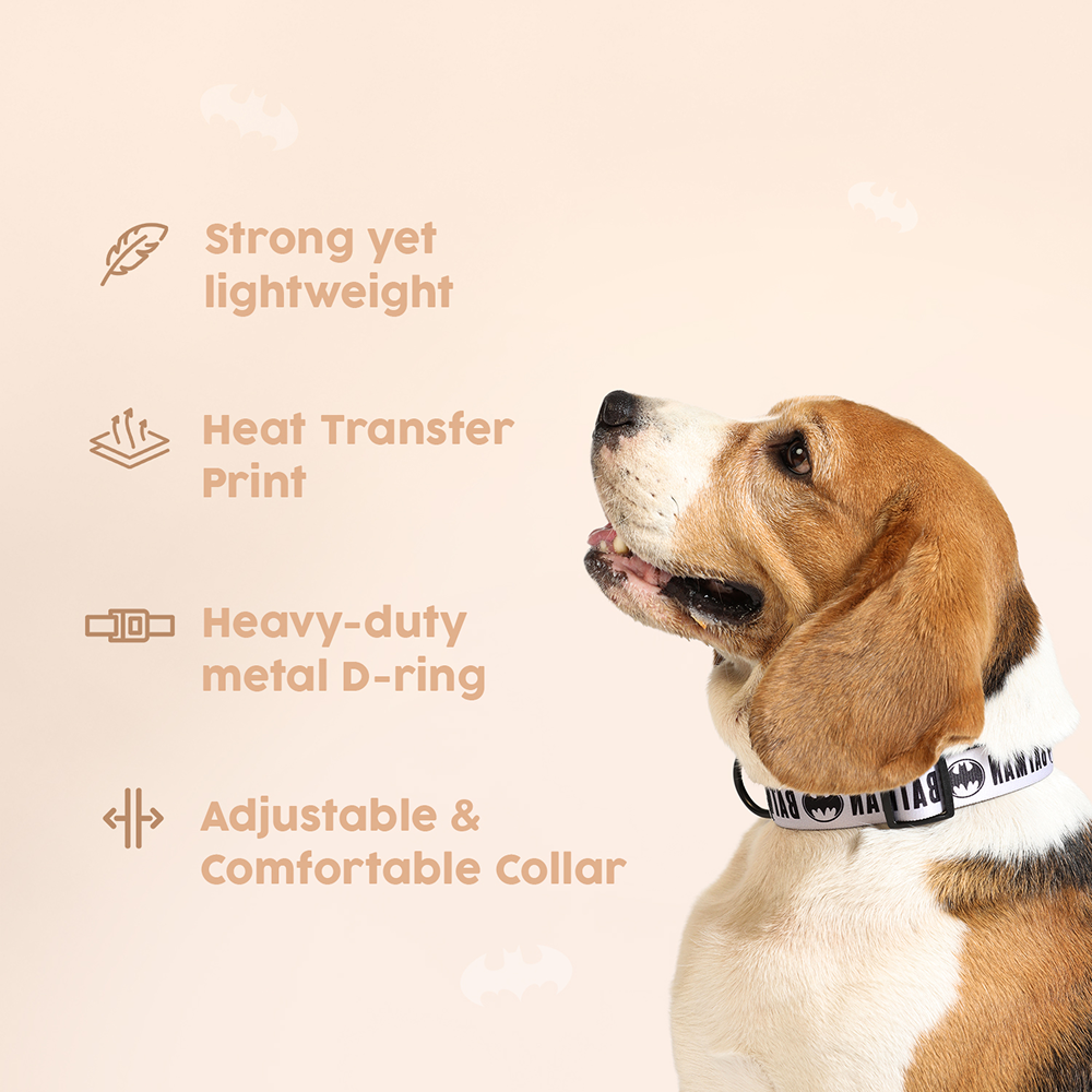 Warner Bros Batman Collar for Dogs and Cats Both-Collar, Leashes, harnesses Warner Bros