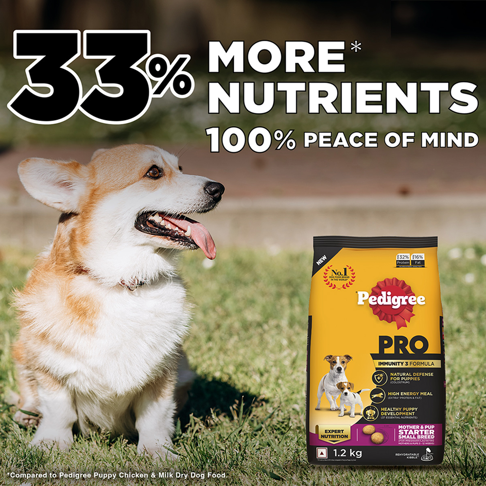 Pedigree PRO Expert Nutrition Lactating/Pregnant Mother & Puppy Starter (3 to 12 Weeks) Small Breed Dog Dry Food Dogs- Dry Food Pedigree PRO