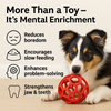 Talking Dog Pop Hollow Elastic Interactive Busy Ball Toy for Dogs (Red) Dogs-Toys Talking Dog Club Dropship