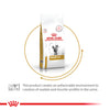 Royal Canin Veterinary Diet Urinary S/O Adult Cat Dry Food Cats- Dry food Royal Canin V-Diet