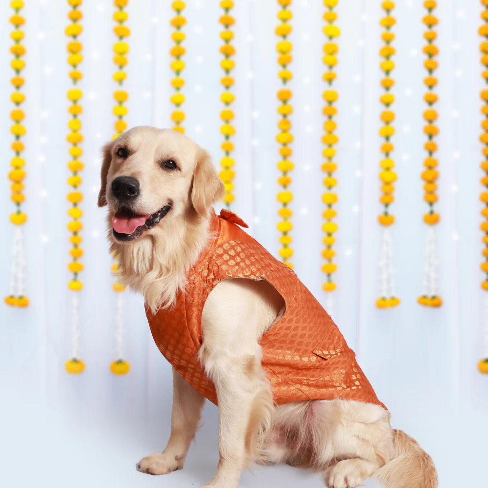 Pet Set Go Kurta with Bowtie for Dogs (Orange) Dogs-Clothing & Accessories Pet Set Go Dropship