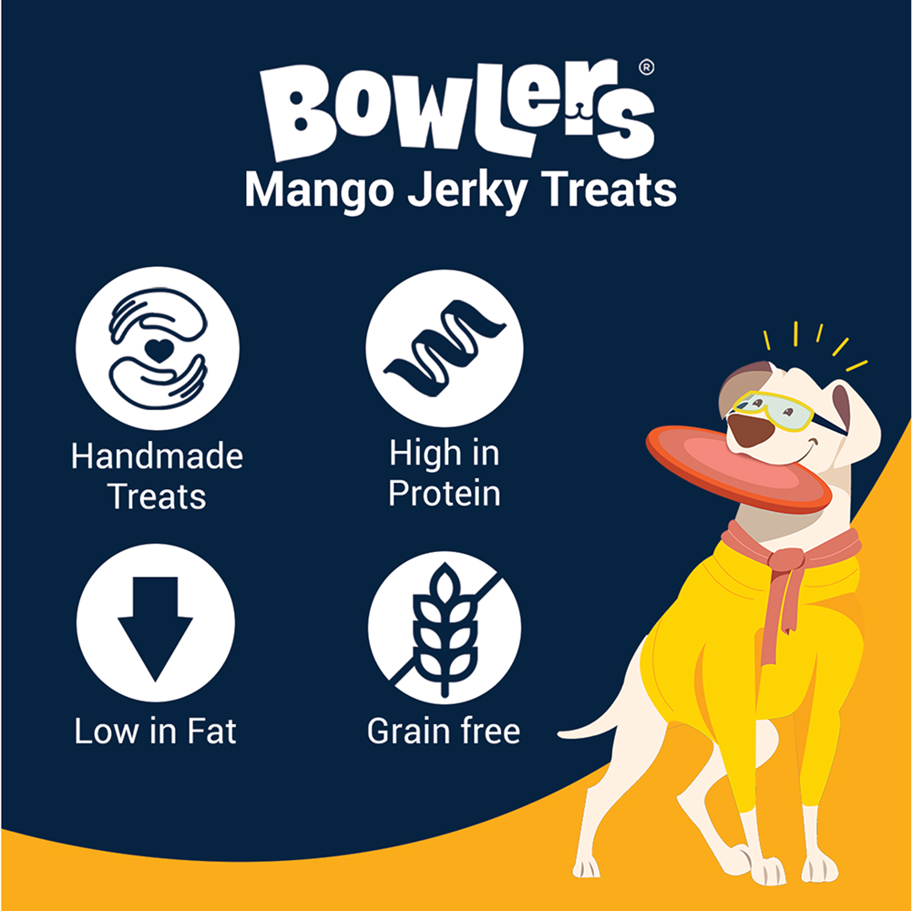 Bowlers Mango Jerky Dog Treats Dog Treats + Others Bowlers