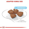 Royal Canin Mini Starter, Mother & Babydog Dry Food Dogs- Dry Food Royal Canin