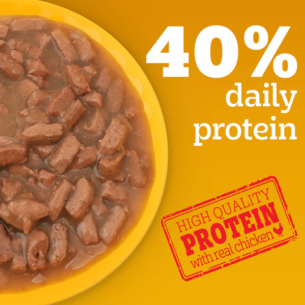 Pedigree Roasted Lamb Flavour Chunks in Gravy Adult Dog Wet Food