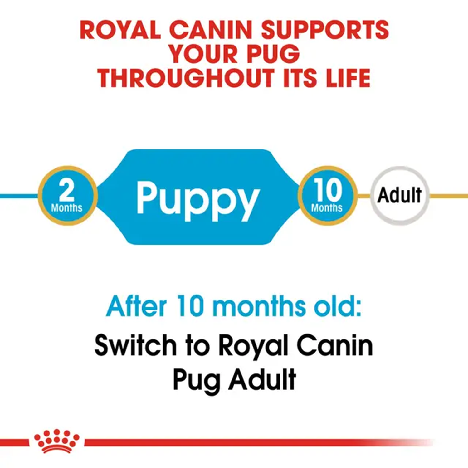 Royal Canin Pug Junior Dog Dry Food Dogs- Dry Food Royal Canin