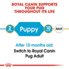 Royal Canin Pug Junior Dog Dry Food Dogs- Dry Food Royal Canin