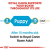 Royal Canin Boxer Puppy Dog Dry Food Dogs- Dry Food Royal Canin