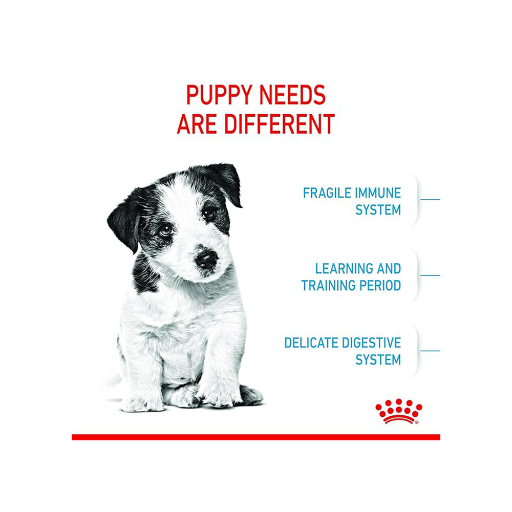 Royal Canin Mini Puppy Dog Dry Food Dogs- Dry Food Royal Canin