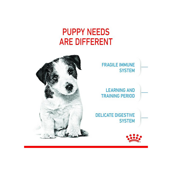 Royal Canin Mini Puppy Dog Dry Food