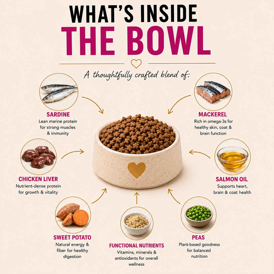 Signature Grain Zero Ocean Fish, Sardine and Mackerel Mother and Kitten Cat Dry Food Cats- Dry food Signature