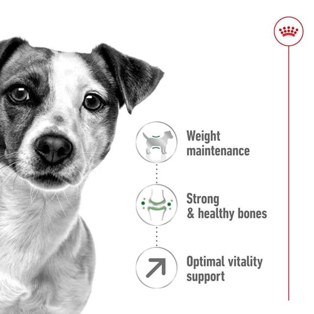 Royal Canin Mini Adult Dog Dry Food with 8+ Years of age Dogs- Dry Food Royal Canin