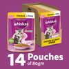 Whiskas Chicken in Gravy Meal Kitten Cat Wet Food Cats-Wet Food Whiskas