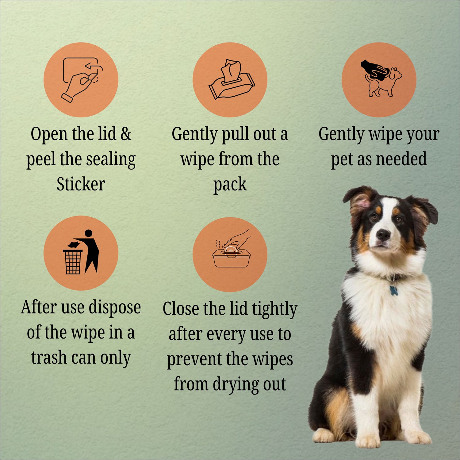 Nootie Wet Wipes for Dogs and Cats Both-Grooming Supplies Nootie