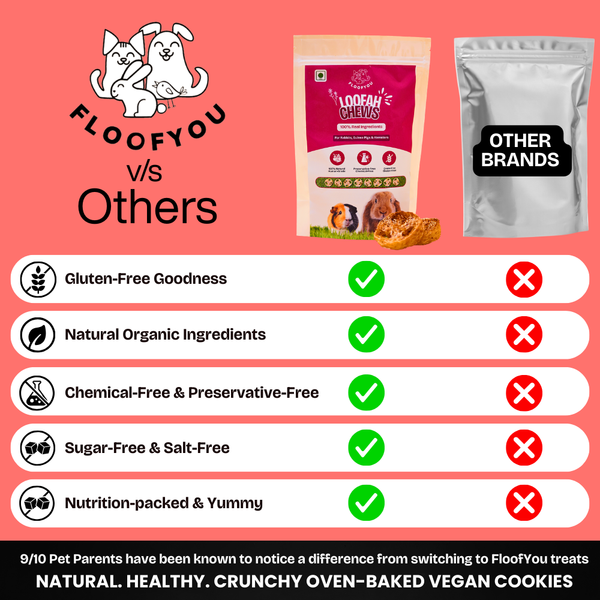 FloofYou Apple Loofah Chews Small Animal Treats