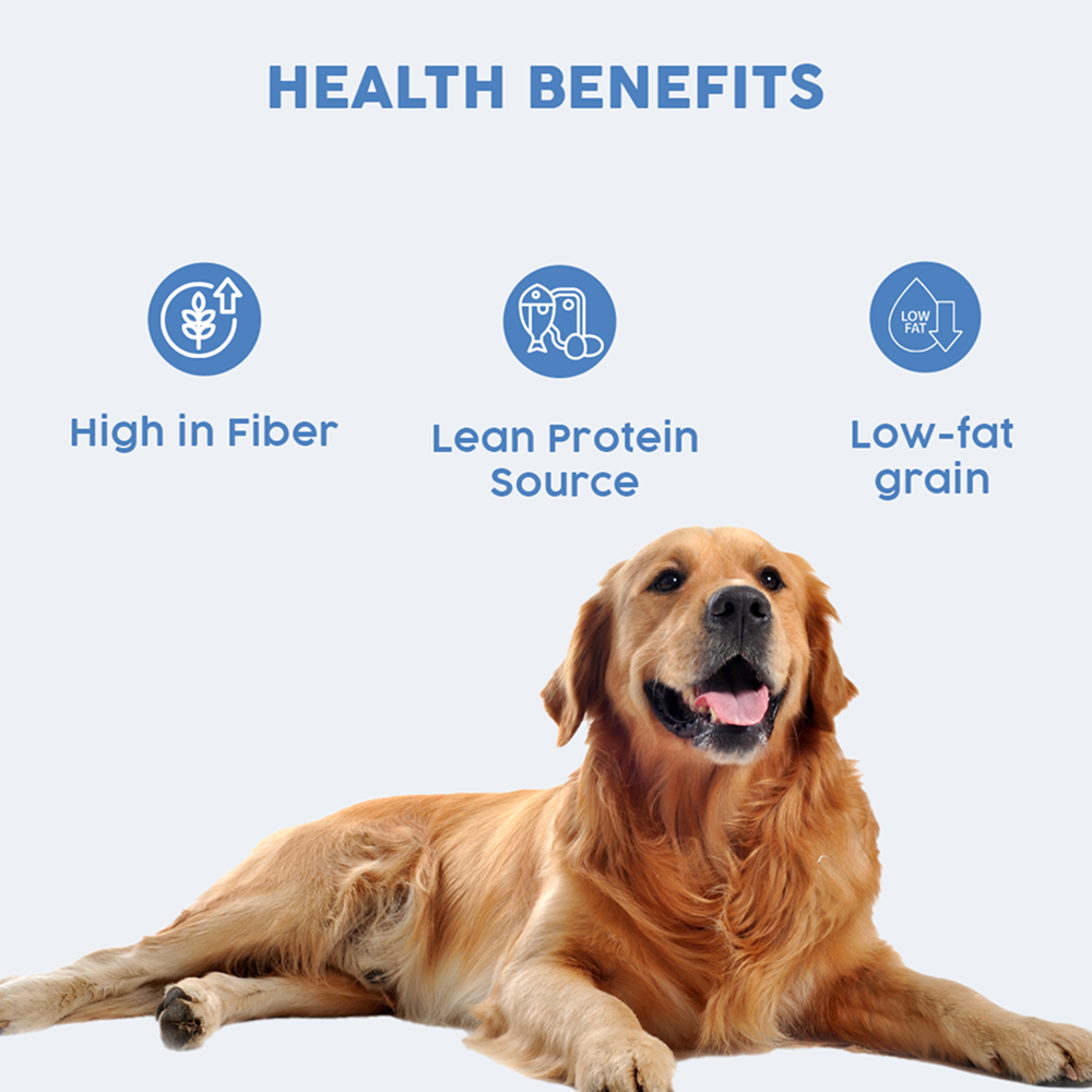 Benny's Bowl Clinical Nutrition for Weight Reduction Dog Wet Food Dogs-Fresh Food Bennys Bowl