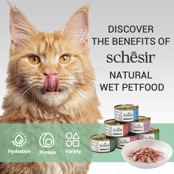 Schesir Tuna In Jelly with Whitebaits Adult Cat Wet Food
