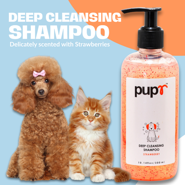 Pupr Deep Cleansing Strawberry Flavoured Shampoo for Dogs