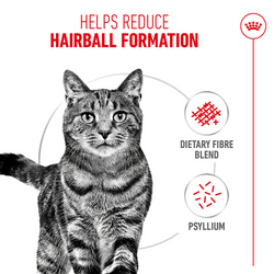 Royal Canin Hairball Care Food for Adult Cat Dry Food Cats- Dry food Royal Canin