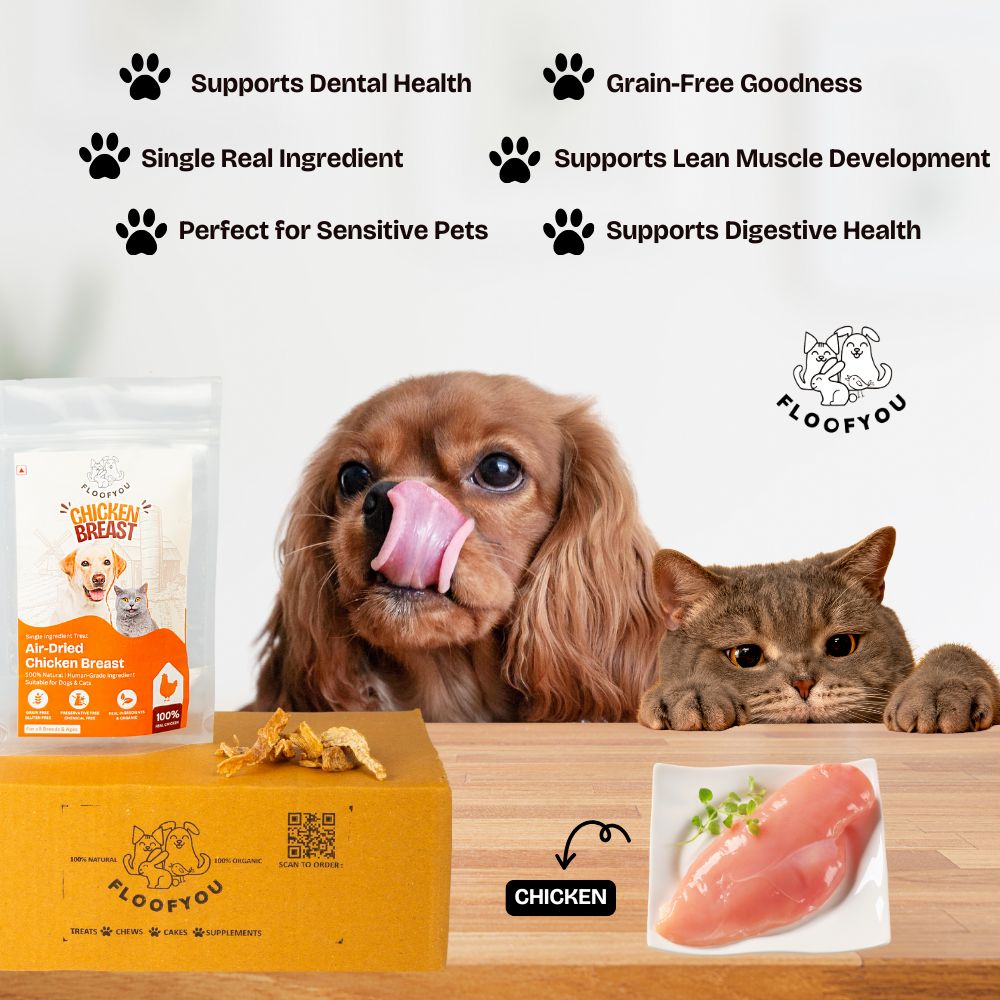FloofYou Air Dried Chicken Breast Jerky Dogs and Cats Treat Dog Treats + Others FloofYou