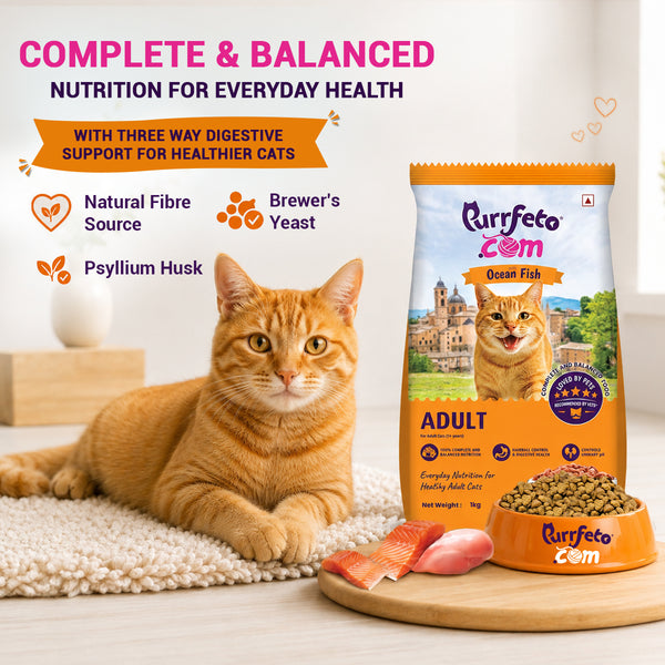 Purrfeto.com Ocean Fish Adult Cat Dry Food