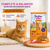 Purrfeto.com Ocean Fish Adult Cat Dry Food Cats- Dry food Purrfeto