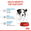 Royal Canin Mini Puppy Dog Dry Food Dogs- Dry Food Royal Canin