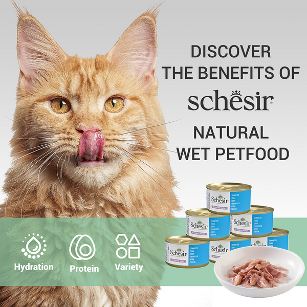 Schesir Tuna Whole Meat & Rice in Jelly Adult Cat Wet Food