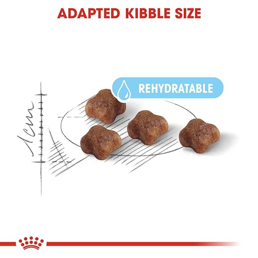 Royal Canin Mother & Babycat Cat Dry Food Cats- Dry food Royal Canin