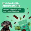 Bark Out Loud by Vivalidis Veggie Bacon Vegan Spanish Dog Treats