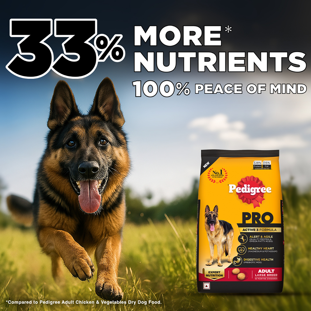 Pedigree PRO Expert Nutrition Active Adult (18 Months Onwards) Large Breed Dog Dry Food Dogs- Dry Food Pedigree PRO
