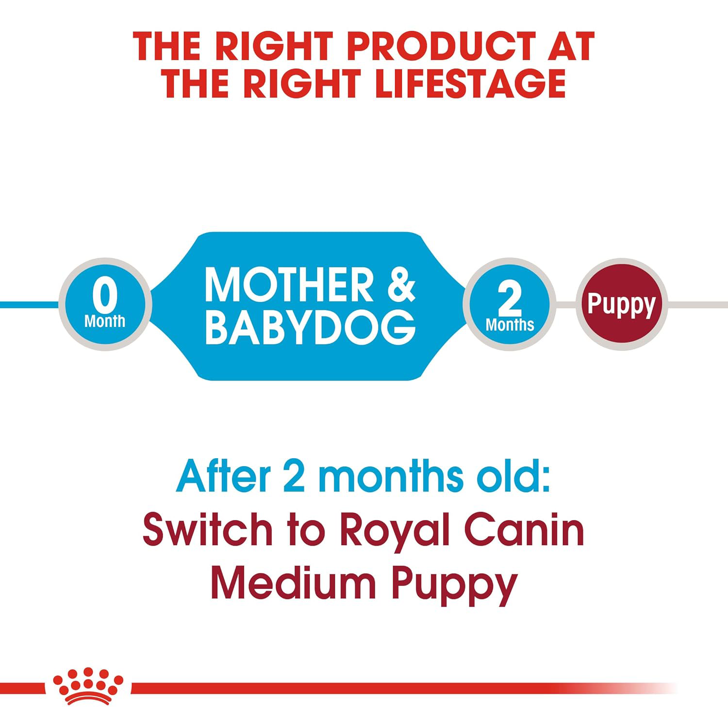 Royal Canin Medium Starter, Mother & Babydog Dry Food Dogs- Dry Food Royal Canin