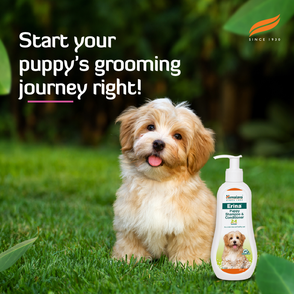 Himalaya Erina Shampoo & Conditioner for Puppies