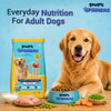 Bowlers Spinnerz Chicken & Vegetables Adult Dog Dry Food Dogs- Dry Food Bowlers
