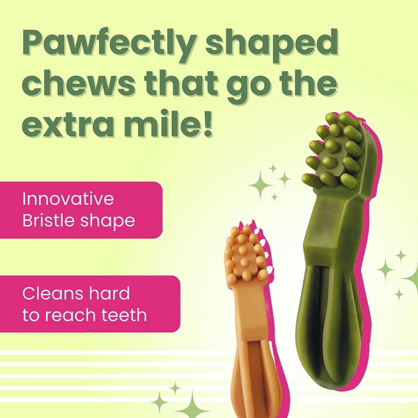 Bark Out Loud by Vivaldis Grain Free Chicken Dental Chews Dog Treats